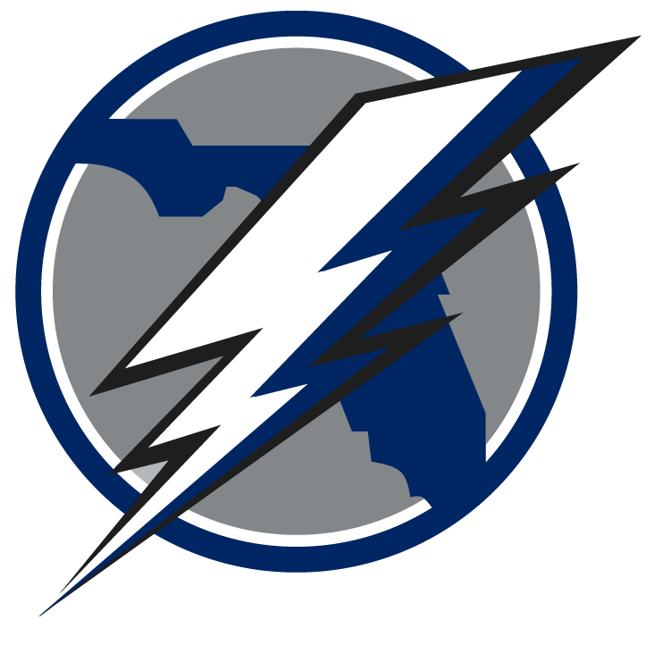 Tampa Bay Lightning 2008 Unused Logo iron on transfers for fabric